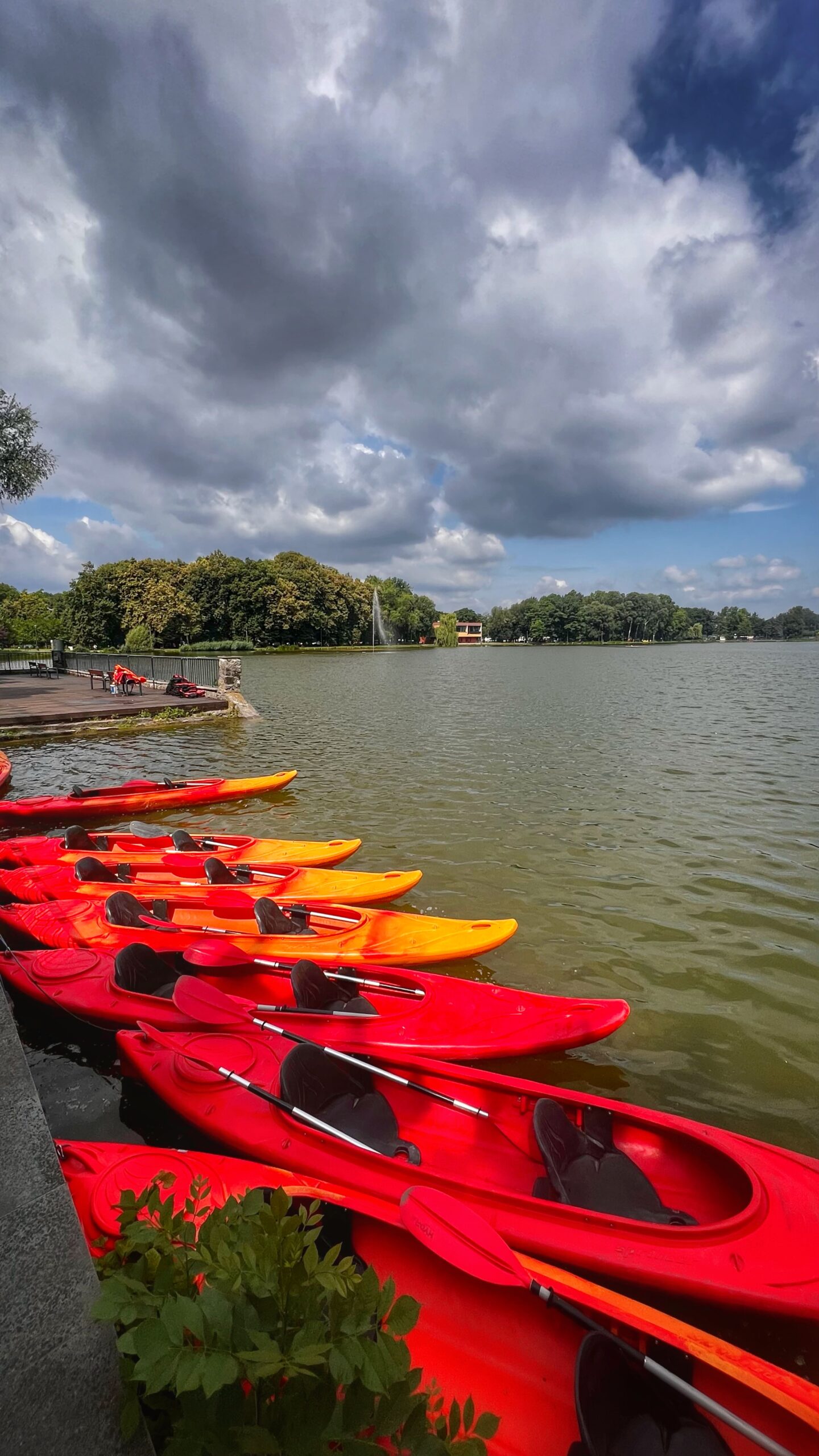 Przyczepa kajakowa + 13 kajaków (2-os.) – Kraków
