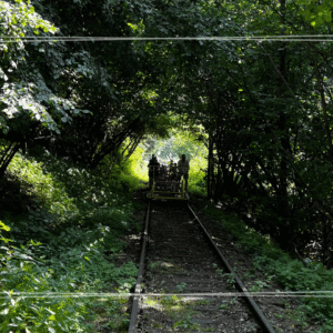 Wycieczka integracyjna dla klas: Tenczynek – drezyny w Regulicach + ognisko (1 dzień)