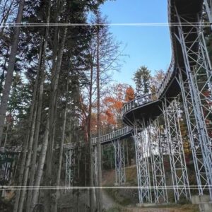 Wycieczka szkolna Ciężkowice – Skalne Miasto + Ścieżka w Koronach Drzew | 1 dzień (z animatorem i CEE)