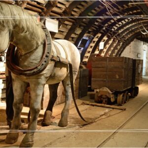 Wycieczka szkolna: Kopalnia Guido (Zabrze) + Planetarium (Chorzów) - 1 dzień | podziemia + seans „Gwiazdy”