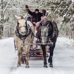 Wycieczka szkolna Zakopane + kulig Murzasichle – 1 dzień | Centrum Edukacji Przyrodniczej TPN, Krupówki, ognisko
