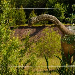 Zielona szkoła Góry Świętokrzyskie 5 dni | Bałtów (Jurasia), Kurozwęki (Safari bizon), Święty Krzyż, Leonarda Da Vinci + nocleg w Bielinach