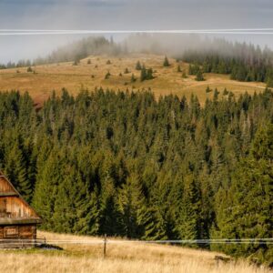 Wycieczka szkolna Brama w Gorce + Skansen w Chabówce - 1 dzień | ścieżka edukacyjna, zajęcia przyrodnicze i kolejowy skansen + ognisko